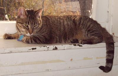 Photo of Stormy
